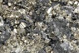 Pyrite, Sphalerite, Galena, and Quartz Associaition - Peru #213678-2